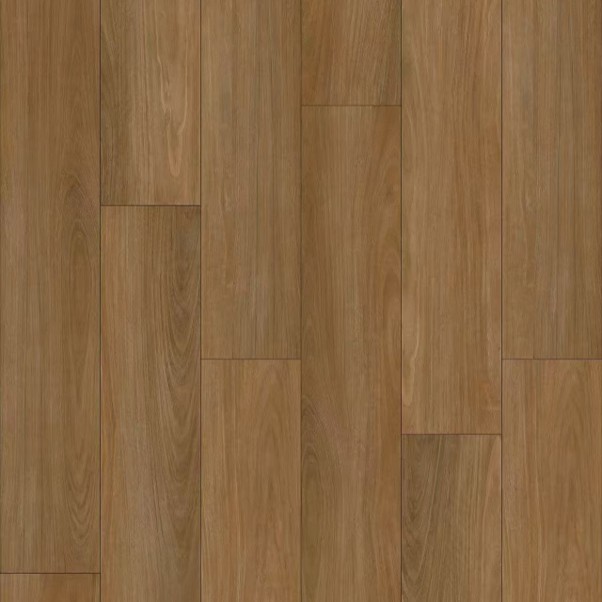 Bushland Blackbutt